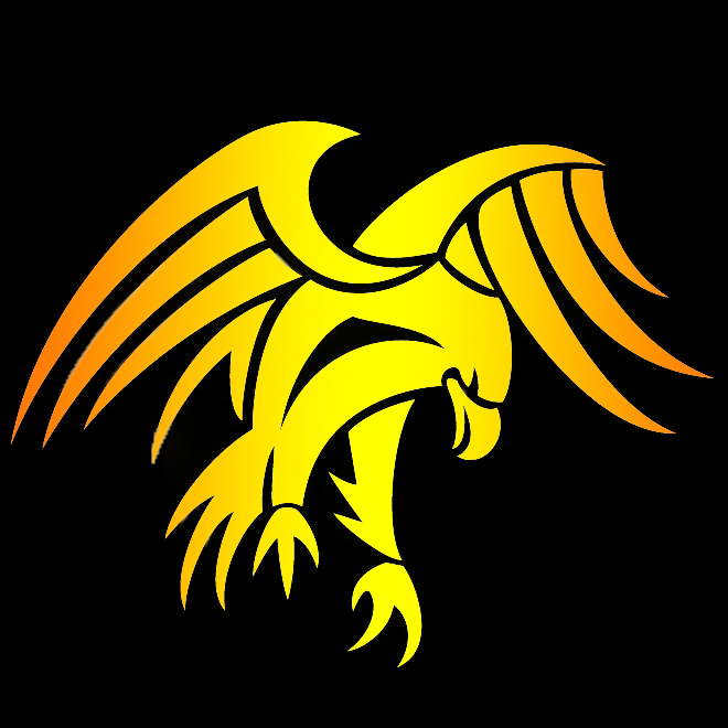 EagleEyeSM